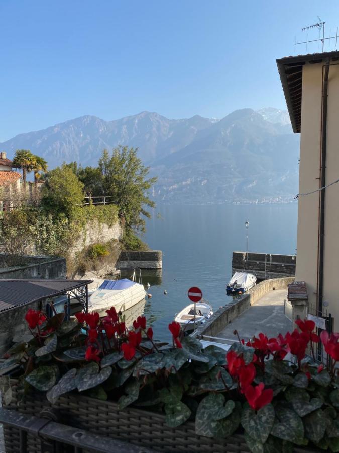 Al Molo 5 - Margaritaville Oliveto Lario Eksteriør bilde